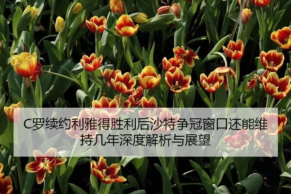 C罗续约利雅得胜利后沙特争冠窗口还能维持几年深度解析与展望