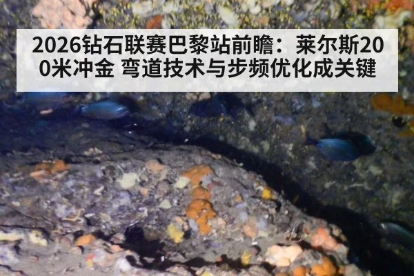 2026钻石联赛巴黎站前瞻：莱尔斯200米冲金 弯道技术与步频优化成关键